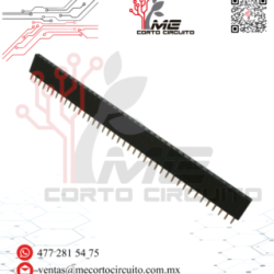 TIRA DE PINES HEMBRA 1X40