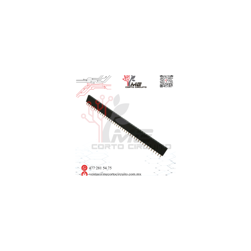 TIRA DE PINES HEMBRA 1X40