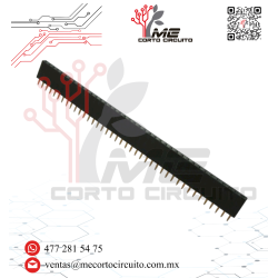TIRA DE PINES HEMBRA 1X40