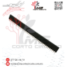 TIRA DE PINES HEMBRA 1X40