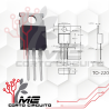 TRANSISTOR MOSFET CANAL N