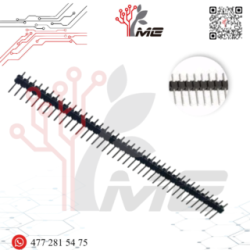 TIRA DE PINES MACHO 1X40