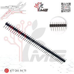 TIRA DE PINES MACHO 1X40