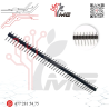TIRA DE PINES MACHO 1X40