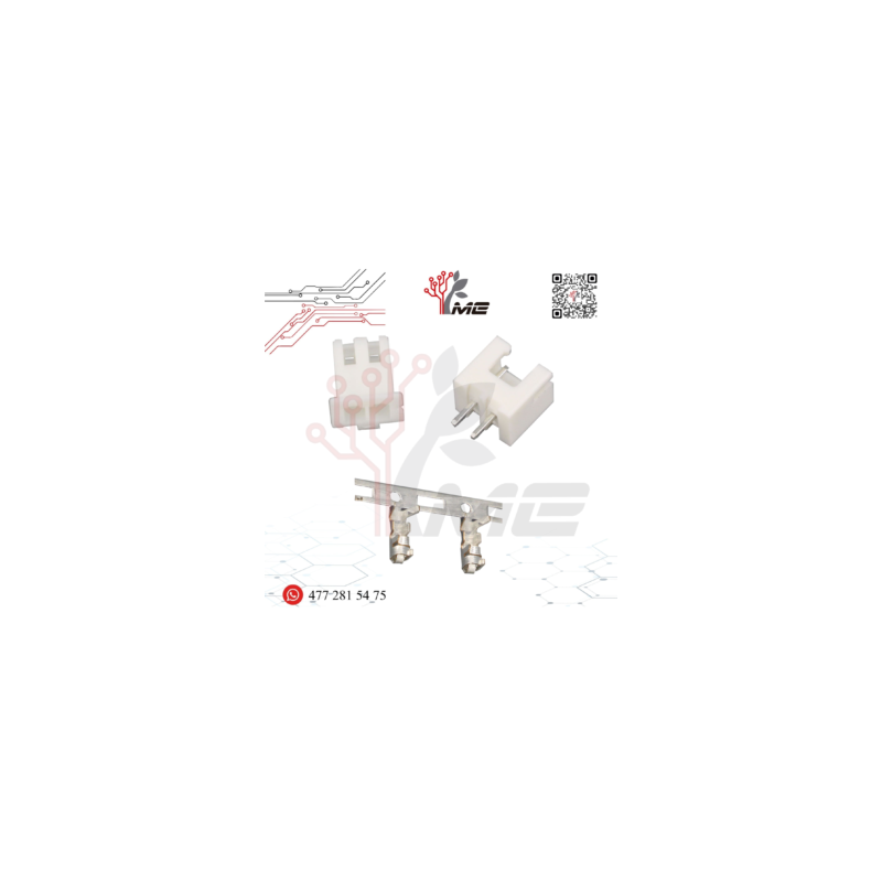 TERMINAL MOLEX XH2.54 MM 2 PINES