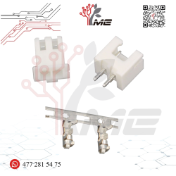 TERMINAL MOLEX XH2.54 MM 2 PINES