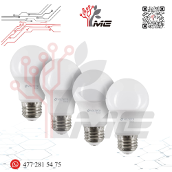 FOCO / LÁMPARA BASICO LED ECO