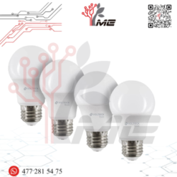 FOCO / LÁMPARA BASICO LED ECO