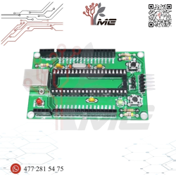 TARJETA DE DESARROLLO PIC18F455